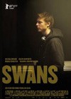 Swans (2011).jpg